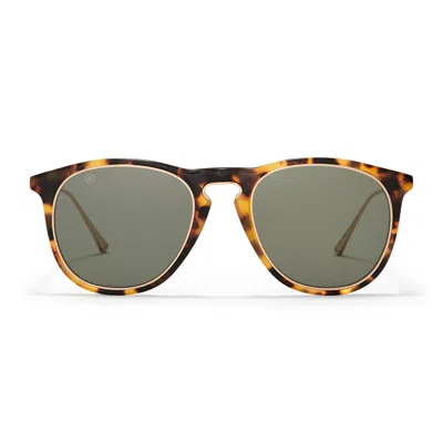 Taylor Morris Eyewear Aldridge Sunglasses In Brown