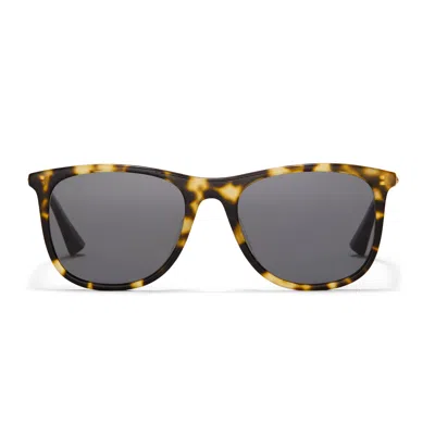 Taylor Morris Eyewear Raleigh Sunglasses In Brown