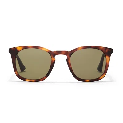 Taylor Morris Eyewear Louis Orson Sunglasses In Brown