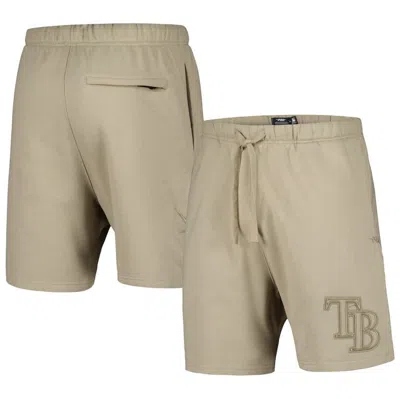 Pro Standard Pewter Tampa Bay Rays Neutral Fleece Shorts