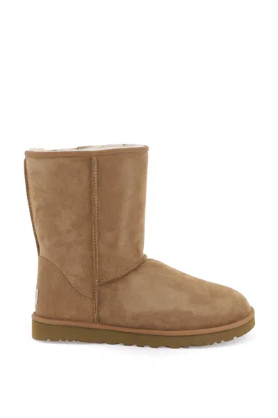 Ugg Classic Short Boots In Beige