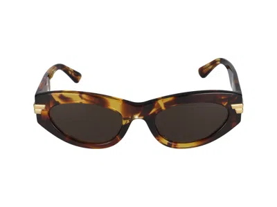 Bottega Veneta Sunglasses In Havana Havana Brown