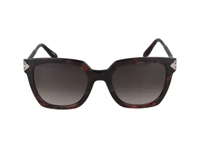 Chopard Sunglasses In Dark Havana Glossy