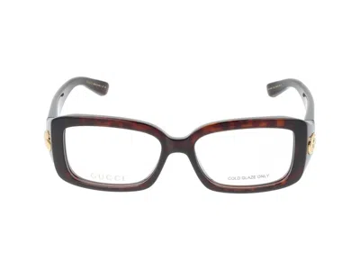 Gucci Eyeglasses In Havana Havana Transparent