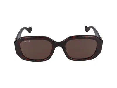 Gucci Sunglasses In Havana Havana Brown