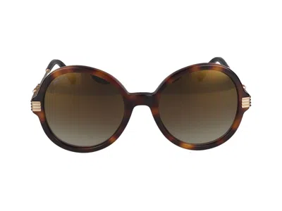 Jimmy Choo Sunglasses In Havana