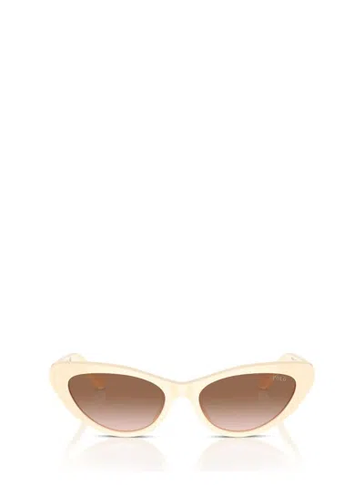 Polo Ralph Lauren Sunglasses In Shiny Cream