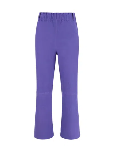 Arma Trousers In Violet