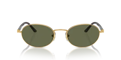 Persol Unisex Polarized Sunglasses, Ida Po1018s In Polar Green