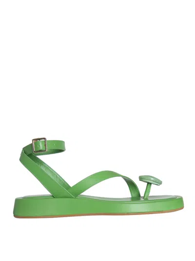 Gia Borghini Giaborghini Flat Thong Sandal Shoes In Green