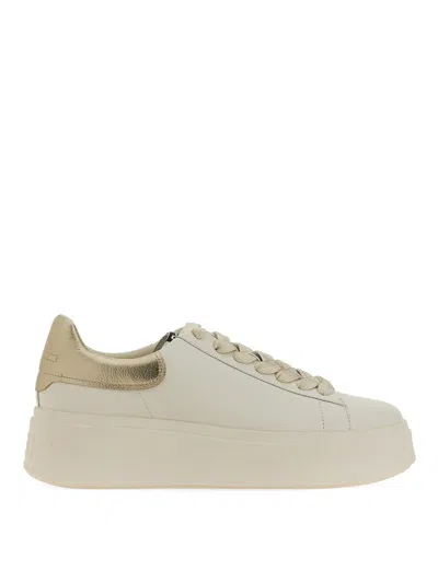 Ash Moby 02 Sneaker In White