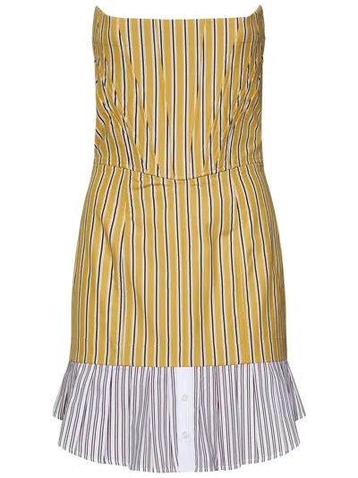 Dsquared2 Striped Cotton Strapless Mini Dress In Giallo