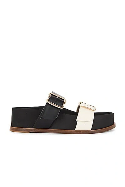Gabriela Hearst Wren Leather Dual-buckle Slide Sandals In Black
