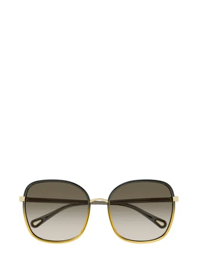 Chloé Eyewear Square Frame Sunglasses In Multi