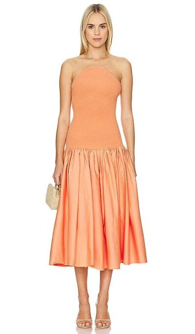 Alexis Kamali Dress In Coral