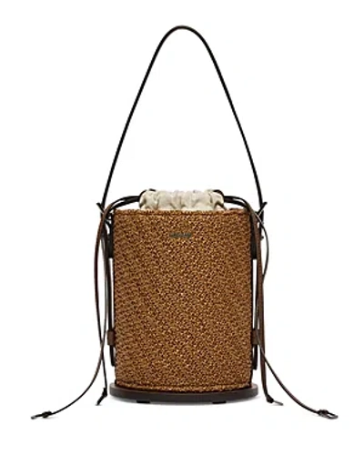 Max Mara Archetipo Bucket Bag In Tobacco