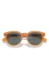 Oliver Peoples N.05 48mm Small Round Sunglasses In Gold
