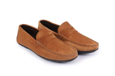 Vellapais Begonia Leather Driver Shoe In Tan