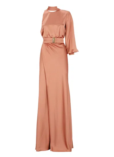 Pinko Ansonica Dress In Brown