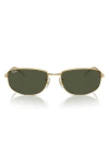 Ray Ban Ray-ban Round Sunglasses, 59mm In Gold/green Solid