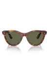 Ray Ban Wayfarer Way Sunglasses Striped Havana Frame Green Lenses Polarized 51-21