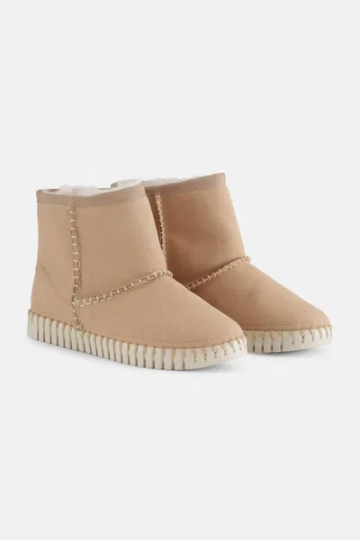 Ilse Jacobsen Women's Suede Ankle Boots In Latte In Multi