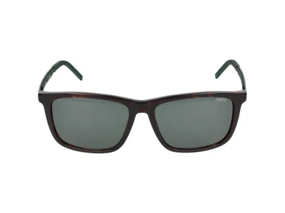 Hugo Boss Sunglasses In Brown