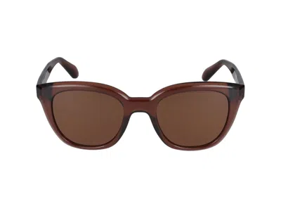 Ferragamo Salvatore  Sunglasses In Transparent Brown