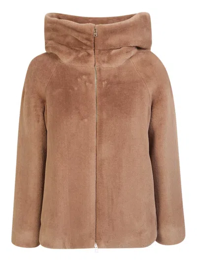 Herno Fur Coats In Brown