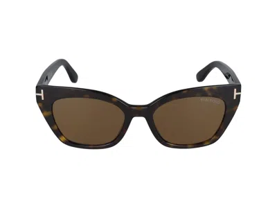 Tom Ford Sunglasses In Dark Havana/brown