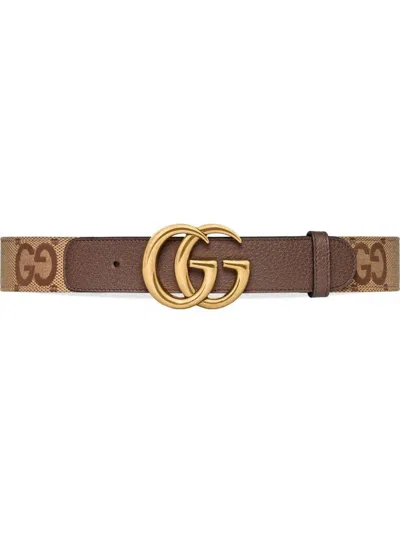 Gucci Belts In Camel Ebony/new Acer