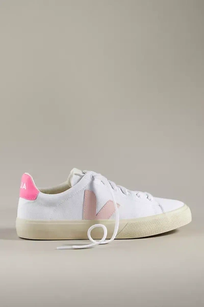Veja Campo Canvas Sneakers In Pink
