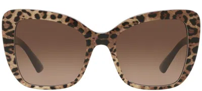 Dolce & Gabbana Eyewear Cat In Brown
