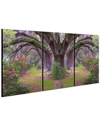 Chic Home Design Lavender Cherry 3pc Set Wrapped Canvas Wall Art