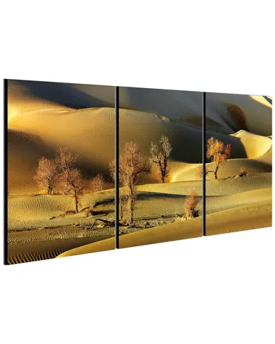 Chic Home Design Golden Desert 3pc Set Wrapped Canvas Wall Art