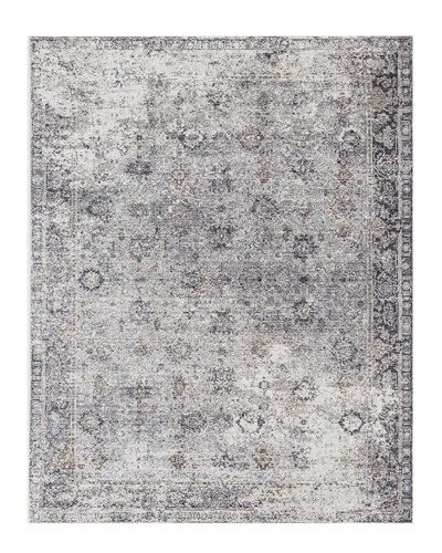 Ar Rugs Fairmont Cora Transitional Rug In Gray