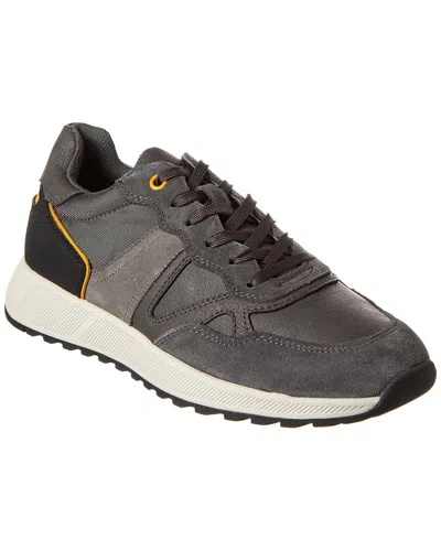 Geox Molveno Suede Sneaker In Grey