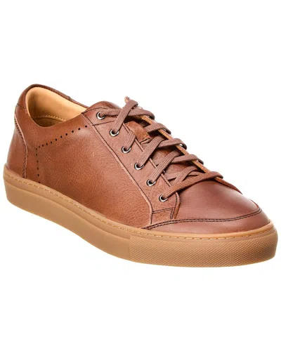 Warfield & Grand Sawyer Leather Sneaker In Brown