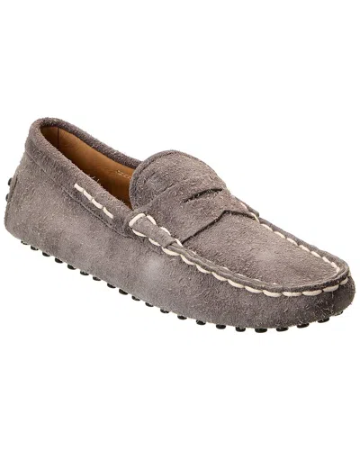 Tod's Gommino Suede Loafer In Grey