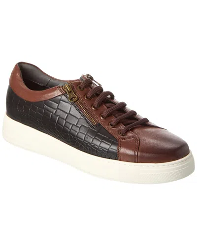 Gernie 26's Low Leather Shoe In Brown