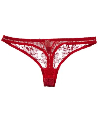 Journelle Chloe Lace Thong In Berry Red
