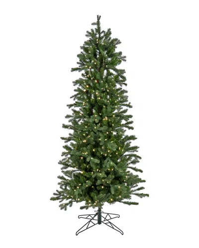 Hgtv National Tree Company  7.5ft Balsam Tree With Led Lights In Green