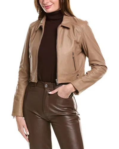 Lamarque Sacha Leather Moto Jacket In Brown