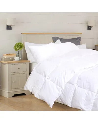 Melange Home Mélange Home Wool-blend Comforter With 300tc Cotton Percale Shell