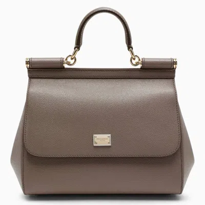 Dolce & Gabbana Dolce&gabbana Taupe Sicily Medium Handbag In Brown