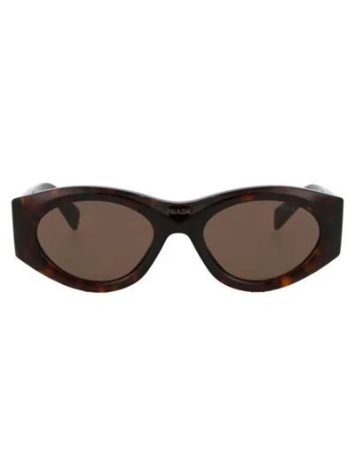 Prada Sunglasses In 2au06b Tortoise