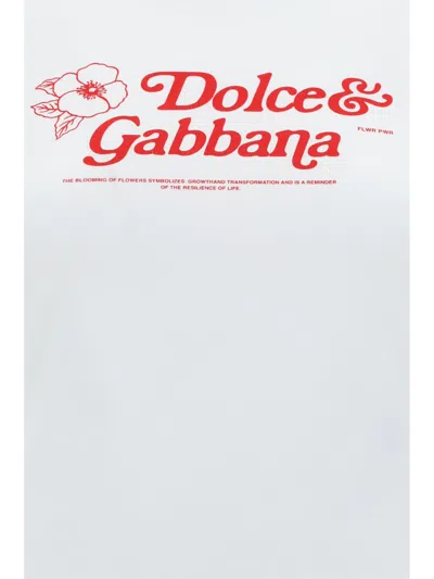 Dolce & Gabbana Logo T-shirt In White