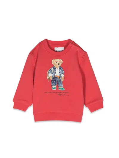 Polo Ralph Lauren Babies' Bear Crewneck Sweatshirt In Red