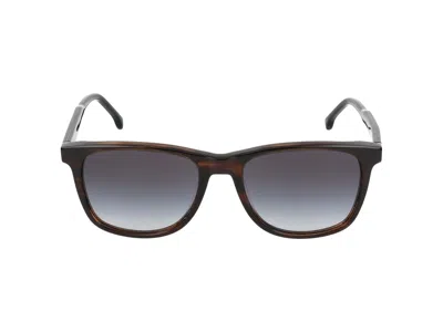 Paul Smith Sunglasses In Havana