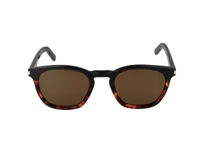 Saint Laurent Sunglasses In Black Black Brown